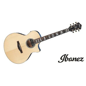 Ibanez ( ACoj[Y ) / AE390ċx݃Z[