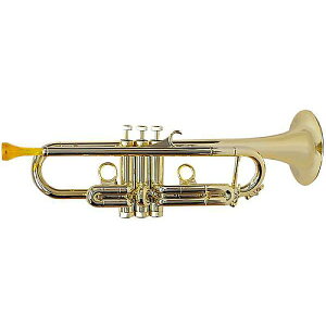 PLAYTECH ( vCebN ) / PTTR100GD vX`bNgybg S[hċxXyV