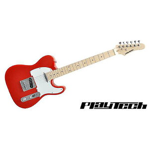 PLAYTECH ( vCebN ) / TL250 Maple Redċx݃Z[