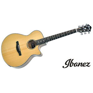 Ibanez ( ACoj[Y ) / AEG200-LGSċx݃Z[