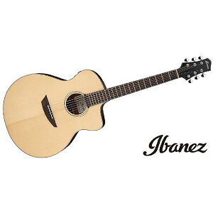 Ibanez ( ACoj[Y ) / PA300E-NSLċx݃Z[