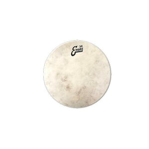 EVANS ( �G�o���X ) / TT10C7�@�J�[�t�g�[�� 10�C���`�ċx�X�y�V����
