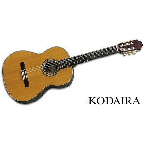 KODAIRA ( R_C ) / AST-150/Cċx݃Z[
