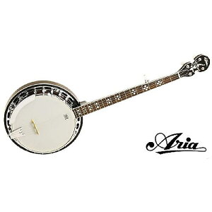 ARIA ( AA ) / SB-40@5oW[ n[hP[XtċxXyV