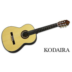 KODAIRA ( R_C ) / AST100/640mmċx݃Z[