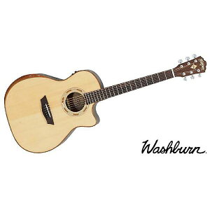 WASHBURN ( �E�@�b�V���o�[�� ) / G20SCE�ċx�݃Z�[��