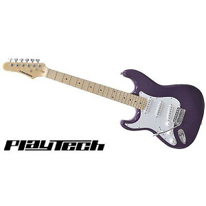 PLAYTECH ( vCebN ) / ST250LH Purple Mapleċx݃Z[