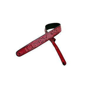 Headway Guitars ( wbhEFCM^[Y ) / HSP-OSAMURAISAN g Raspberryċx݃Z[