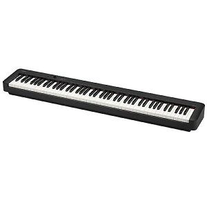 CASIO ( JVI ) / CDP-S110BK dqsAmċx݃Z[
