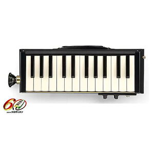 HAMMOND ( nh ) / PRO-24B Ճn[jJċxXyV