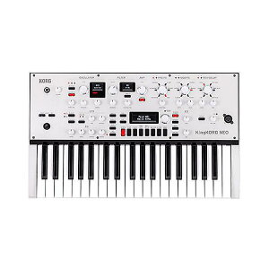 KORG ( RO ) / King KORG NEO o[`AiOVZċxXyV