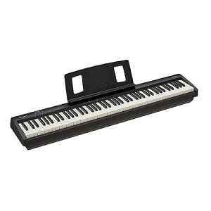 ROLAND ( [h ) / FP-10-BK dqsAmċxXyV