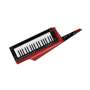 KORG ( RO ) / RK-100S 2RDċxXyV
