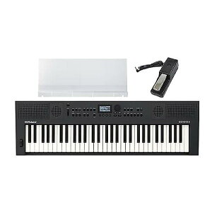 ROLAND ( ���[�����h ) / GO:KEYS 5 GOKEYS5-GT ��p���ʗ���+�_���p�[�y�_���Z�b�g�ċx�X�y�V����