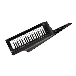 KORG ( RO ) / RK-100S 2BKċxXyV