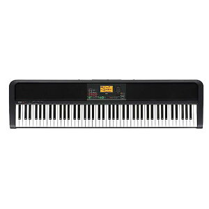 KORG ( RO ) / XE20 ttdqsAmċx݃Z[