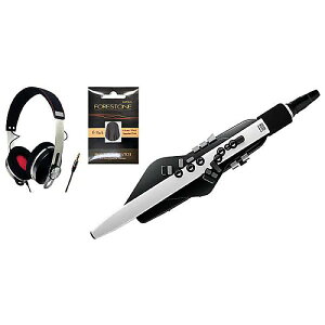 ROLAND ( ローランド ) / AE-20 Aerophone エアロフォン パッチ・ヘッドホン付き ブラック夏休スペシャル