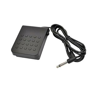 CASIO ( JVI ) / SP3@TXeCy_ċxXyV