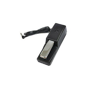 ROLAND ( [h ) / DP-10@_p[y_ċxXyV