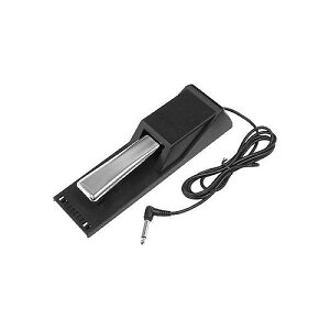 CASIO ( JVI ) / SP-20@TXeCy_ċxXyV