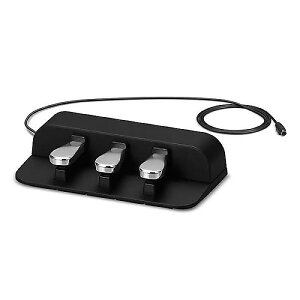 CASIO ( JVI ) / SP-34@TXeCy_ċxXyV