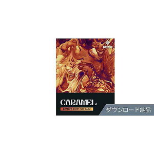 UJAM ( ���[�W���� ) / Usynth Caramel �_�E�����[�h�[�i�ċx�݃Z�[��