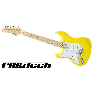 PLAYTECH ( vCebN ) / ST250LH Yellow Mapleċx݃Z[