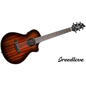 BREEDLOVE ( u[hu ) / Wildwood Pro Companion Suede CEċx݃Z[