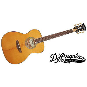 DAngelico ( fBAWFR ) / Excel Tammany XT, Vintage Naturalċx݃Z[