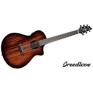 BREEDLOVE ( u[hu ) / Wildwood Pro Concert Suede CEċx݃Z[