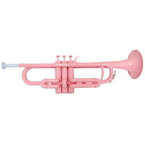 PLAYTECH ( �v���C�e�b�N ) / PTTR-050PK �v���X�`�b�N�g�����y�b�g �s���N�ċx�X�y�V����
