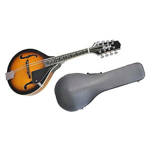 PLAYTECH ( vCebN ) / SA100 VS@tbg}hiPLAYTECHP[Xjċx݃Z[