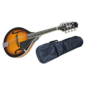 PLAYTECH ( vCebN ) / SA100 VS@tbg}hi\tgP[Xtjċx݃Z[