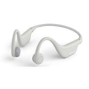 PHILIPS ( tBbvX ) / TAK4607 O[ `CXCzċx݃Z[