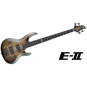 E-II ( C[c[ ) / BTL-4 Black Natural Burstċx݃Z[