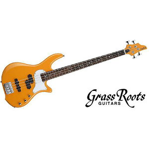 GRASS ROOTS ( OX[c ) / G-BB-DLX Orangeċx݃Z[