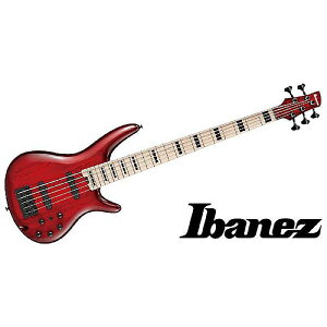 Ibanez ( ACoj[Y ) / ANB205-TWBċx݃Z[