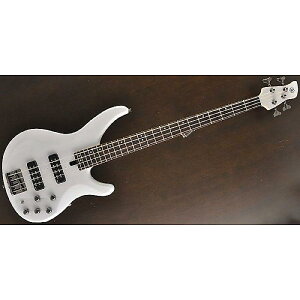 YAMAHA ( }n ) / TRBX504@TWHċx݃Z[