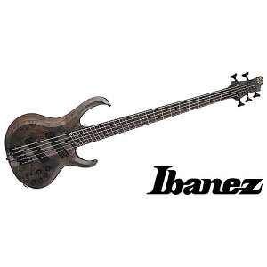 Ibanez ( ACoj[Y ) / BTB805MS-TGFċx݃Z[