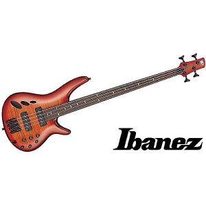 Ibanez ( ACoj[Y ) / SRD900F-BTL 30FwtbgXE4GNgbNEx[Xċx݃Z[
