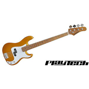 PLAYTECH ( vCebN ) / PB480 GoldyJ[{iCYhECvlbNzċx݃Z[