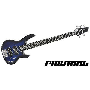 PLAYTECH ( vCebN ) / AB520 Blueburstċx݃Z[