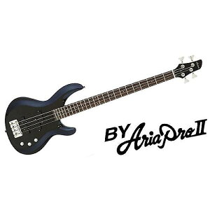 ARIAPROII ( アリアプロツー ) / IGB-STD Metallic Black夏休みセール