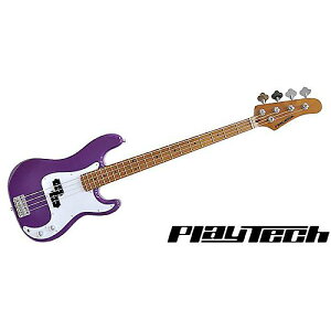 PLAYTECH ( vCebN ) / PB480 PurpleyJ[{iCYhECvlbNzċx݃Z[