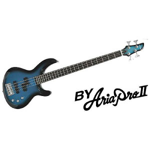 ARIAPROII ( AAvc[ ) / IGB-STD Metallic Blue Shadeċx݃Z[