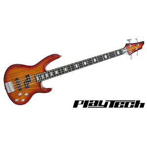 PLAYTECH ( vCebN ) / AB420 Cherry Burstċx݃Z[