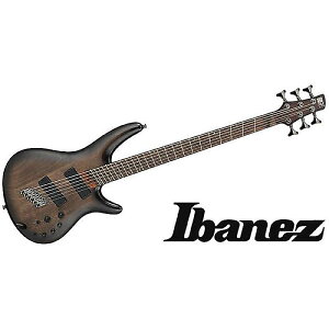 Ibanez ( ACoj[Y ) / SRC6MS-BLLċx݃Z[