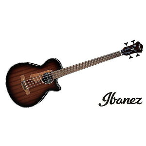 Ibanez ( ACoj[Y ) / AEGB24FE-MHSċx݃Z[