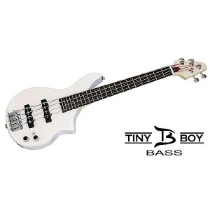 TINYBOY ( ^Cj[{[C ) / TBJ-3400WFM RpNgEGLx[Xċx݃Z[