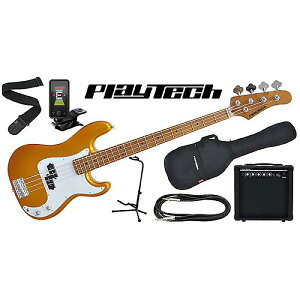 PLAYTECH ( vCebN ) / PB480 Gold GLx[X SғZbgċx݃Z[